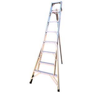 Fruit picking ladder